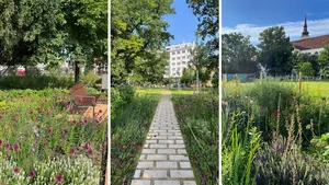 Parkem roku 2023 se stal park na Moravském náměstí v Brně